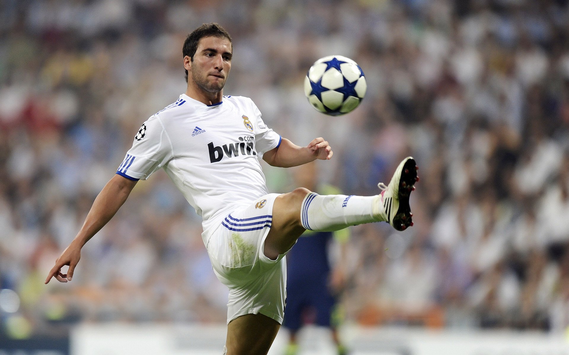 德约科维奇新星败北表现惊艳，篮网未来可期！